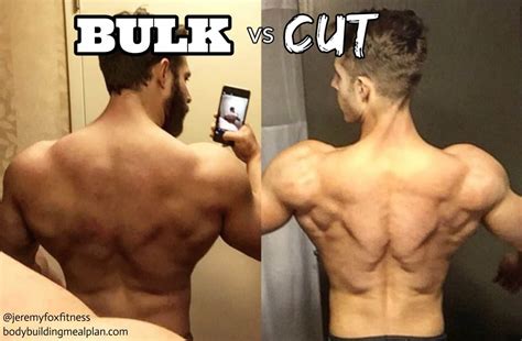 how to do body recomposition reddit|Body recomposition vs cutting : r/Fitness .